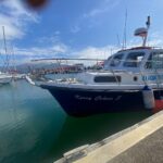 boat at harbour