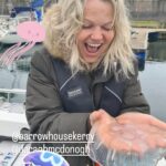 woman holding jellyfish